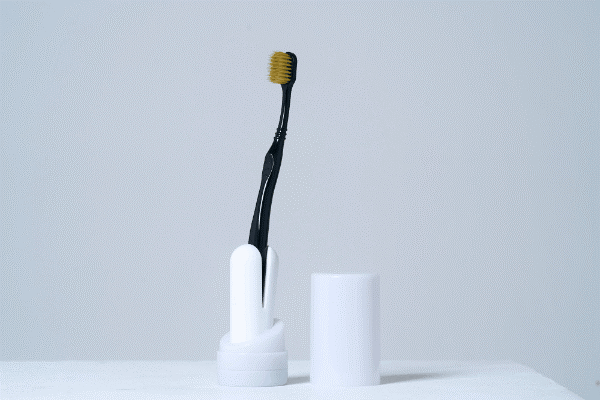HAM DEN-do Rechargeable Electric Toothbrush (White)