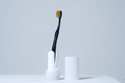 HAM DEN-do Rechargeable Electric Toothbrush (White)